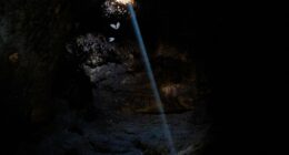Bats in Tinshemet Cave, Israel.