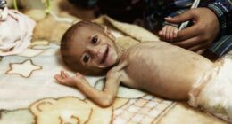 BREAKING: Leading Israeli Rights Groups Accuse Israel of Gaza Genocide