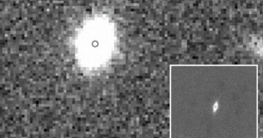 Italian astronomers discover dense 'fossil galaxy' roughly 3 billion light-years from Earth