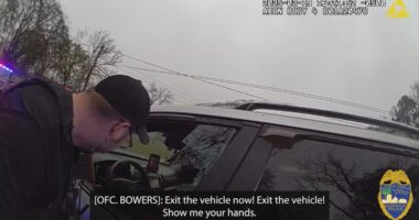 JSO report says man reached for knife in viral traffic stop arrest. Bodycam video never shows it