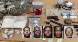 Jacksonville drug bust seizes fentanyl for 600,000 doses