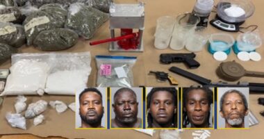 Jacksonville drug bust seizes fentanyl for 600,000 doses