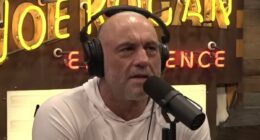 Joe Rogan twists the knife on Trump by urging liberal to run for pres