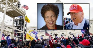 Judge denies Jan. 6 restitution refund, rips DOJ backing it
