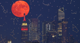 July 2025 Full buck moon in Capricorn: steady surrender