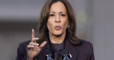Kamala Decides We Need to Hear Negative Views on the Fourth, and the Internet Responds Perfectly