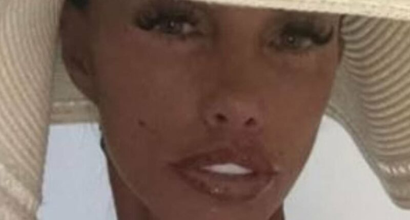 Katie Price shows off her £10k facelift and extreme weight loss