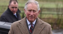 King Charles 'is launching a Tweed jacket... for DOGS'