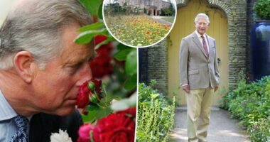 King Charles sees 11 of his 12 'overwhelmed and underpaid' gardeners quit Highgrove over demands