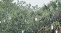 LIVE RADAR: Isolated strong storms rolling through parts of Central Florida