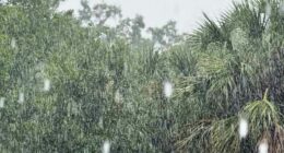 LIVE RADAR: Isolated strong storms rolling through parts of Central Florida