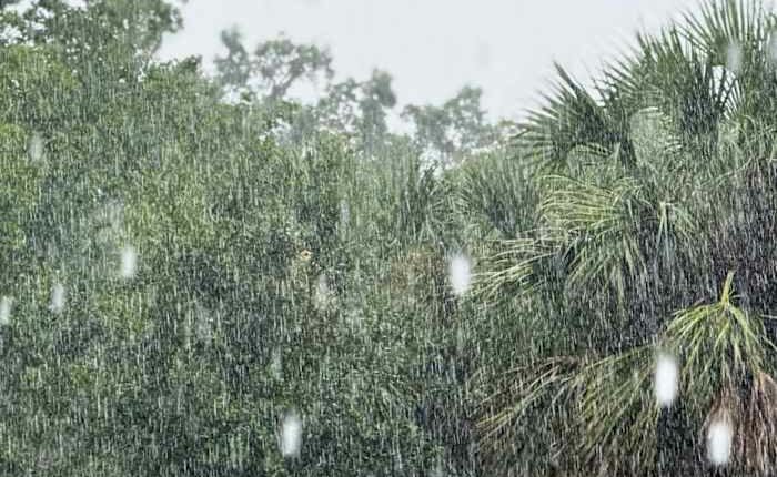 LIVE RADAR: Isolated strong storms rolling through parts of Central Florida