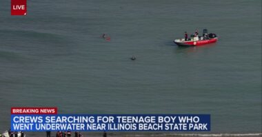 Lake Michigan search for missing teen near Illinois Beach State Park recovery effort after boy knocked into water: witness