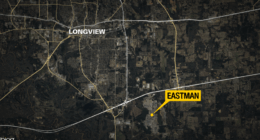 Lawsuit filed over emissions from Eastman's Longview, Texas plant