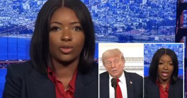 Lefty Rep. Jasmine Crockett dubs Trump a 'wannabe Hitler' over Epstein files drama