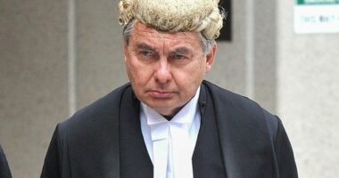 BRISBANE, AUSTRALIA - JULY 26:  Walter Sofronoff QC is seen leaving the Commonwealth Law Courts for the Gerard Bayden-Clay appeal on July 26, 2016 in Brisbane, Australia. The Full Bench of the High Court will hear an appeal from Queensland's DPP to the state's Court of Appeal decision to downgrade Gerard Baden-Clay's murder conviction to manslaughter. He was convicted of killing his wife Allison Baden-Clay.  (Photo by Bradley Kanaris/Fairfax Media) *** Local Caption *** Walter Sofronoff QC; Walt