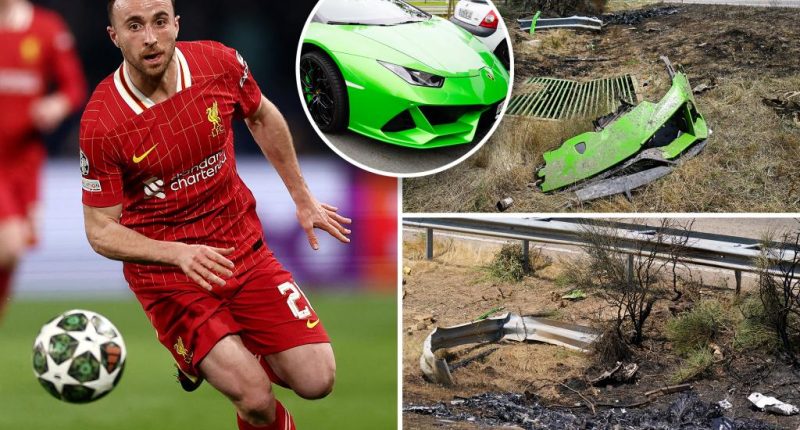 Liverpool's Diogo Jota was in fatal crash because he couldn't fly