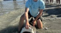 Local teens catch 2 sharks, including 13-footer