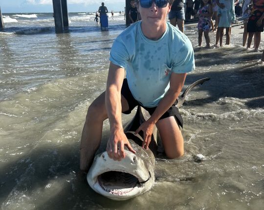 Local teens catch 2 sharks, including 13-footer