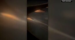 Los Angeles airport: Flames from engine cause flight to declare emergency and return to LAX