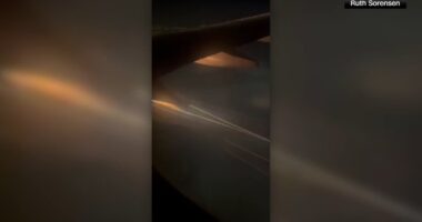 Los Angeles airport: Flames from engine cause flight to declare emergency and return to LAX