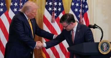 MAGA influencer cope is now Congressional strategy
