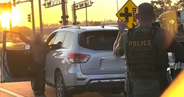 MS-13 gang kingpin wanted for FIVE murders is caught by ICE in US city