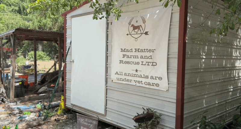 Mad Hatter Farm and Rescue selling homemade items to continue its mission