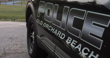 Maine town denies it did not properly vet reserve officer arrested by ICE