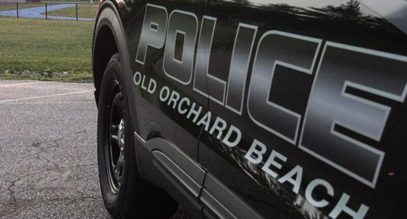 Maine town denies it did not properly vet reserve officer arrested by ICE