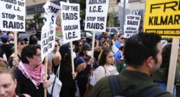 Majority of Americans disapprove of Trump immigration policies: Poll