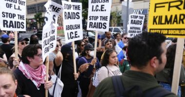 Majority of Americans disapprove of Trump immigration policies: Poll