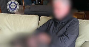 A 70-year-old man faces up to 15 years in prison after being charged with ï»¿possessing child abuse material.