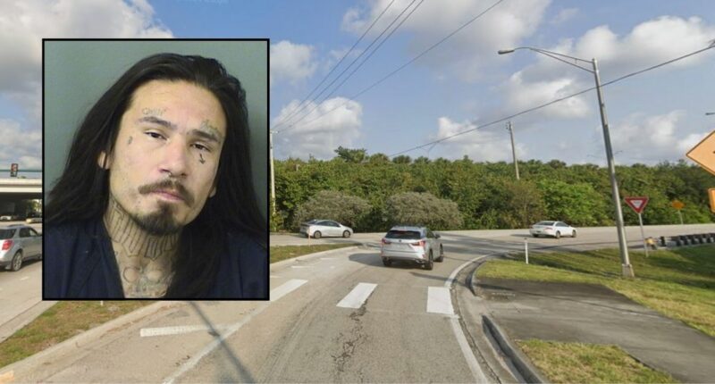 Man asleep off freeway threatens police who wake him: Cops
