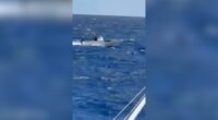 Man charged after taking stolen rental boat from the Keys to Cuba
