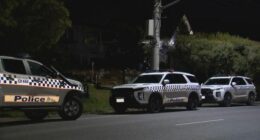 Man shot dead by police after allegedly attacking his sister with samurai sword