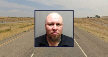 Man smothered girlfriend's grandad over bank accounts: Cops
