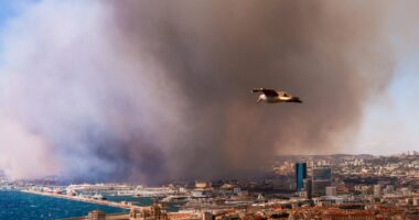 Smoke from a massive wildfire obscuring a city.