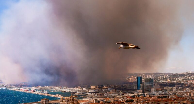 Smoke from a massive wildfire obscuring a city.