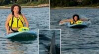 Massachusetts great white shark encounter with paddleboarders Margaret Bowles and Maddie Cronin in Cape Cod