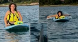 Massachusetts great white shark encounter with paddleboarders Margaret Bowles and Maddie Cronin in Cape Cod