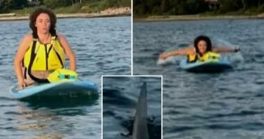 Massachusetts great white shark encounter with paddleboarders Margaret Bowles and Maddie Cronin in Cape Cod