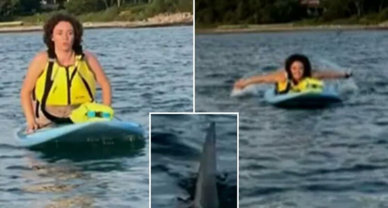 Massachusetts great white shark encounter with paddleboarders Margaret Bowles and Maddie Cronin in Cape Cod
