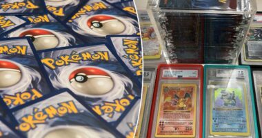 Massachusetts man allegedly busted with huge haul of rare Pokemon cards after daring theft