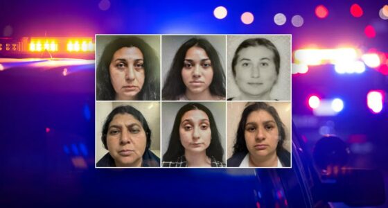 Six Women Arrested by Massachusetts Police in Connection to Multi-State ...