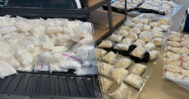 Massive haul of methamphetamine seized in one of Minnesota's 'largest meth busts' ever