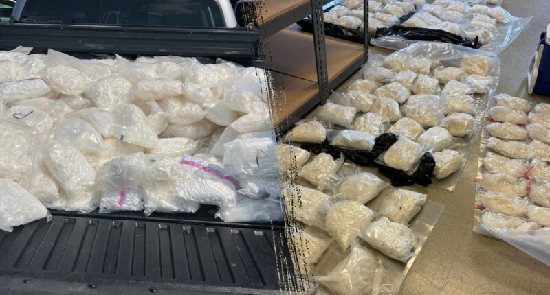 Massive haul of methamphetamine seized in one of Minnesota's 'largest meth busts' ever