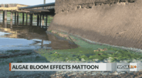 Mattoon water remains under 'do not drink' order following IEPA test results