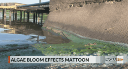 Mattoon water remains under 'do not drink' order following IEPA test results