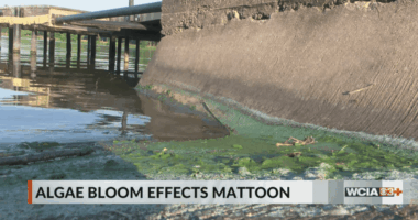 Mattoon water remains under 'do not drink' order following IEPA test results